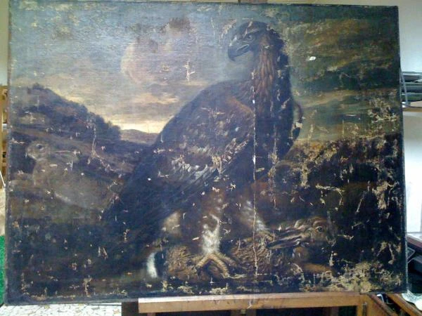 L'aigle, XVIIIème